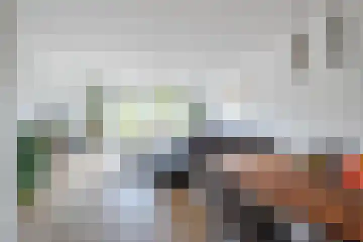 Souverijnsakker 9 Veghel thumbnail 5