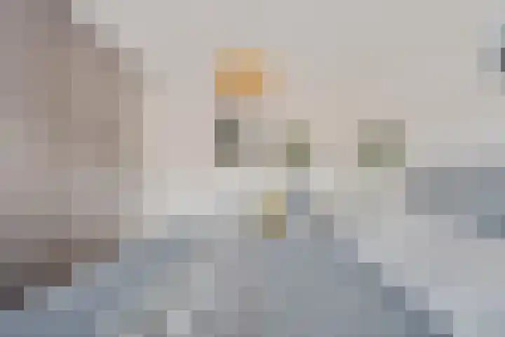 Souwe 27 Ureterp thumbnail 21