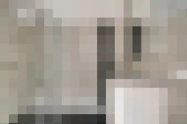 Souwe 27 Ureterp thumbnail 26