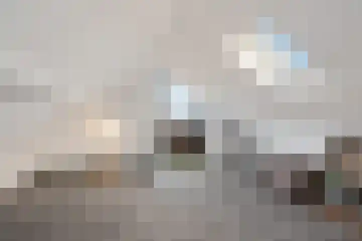 Souwe 27 Ureterp thumbnail 30