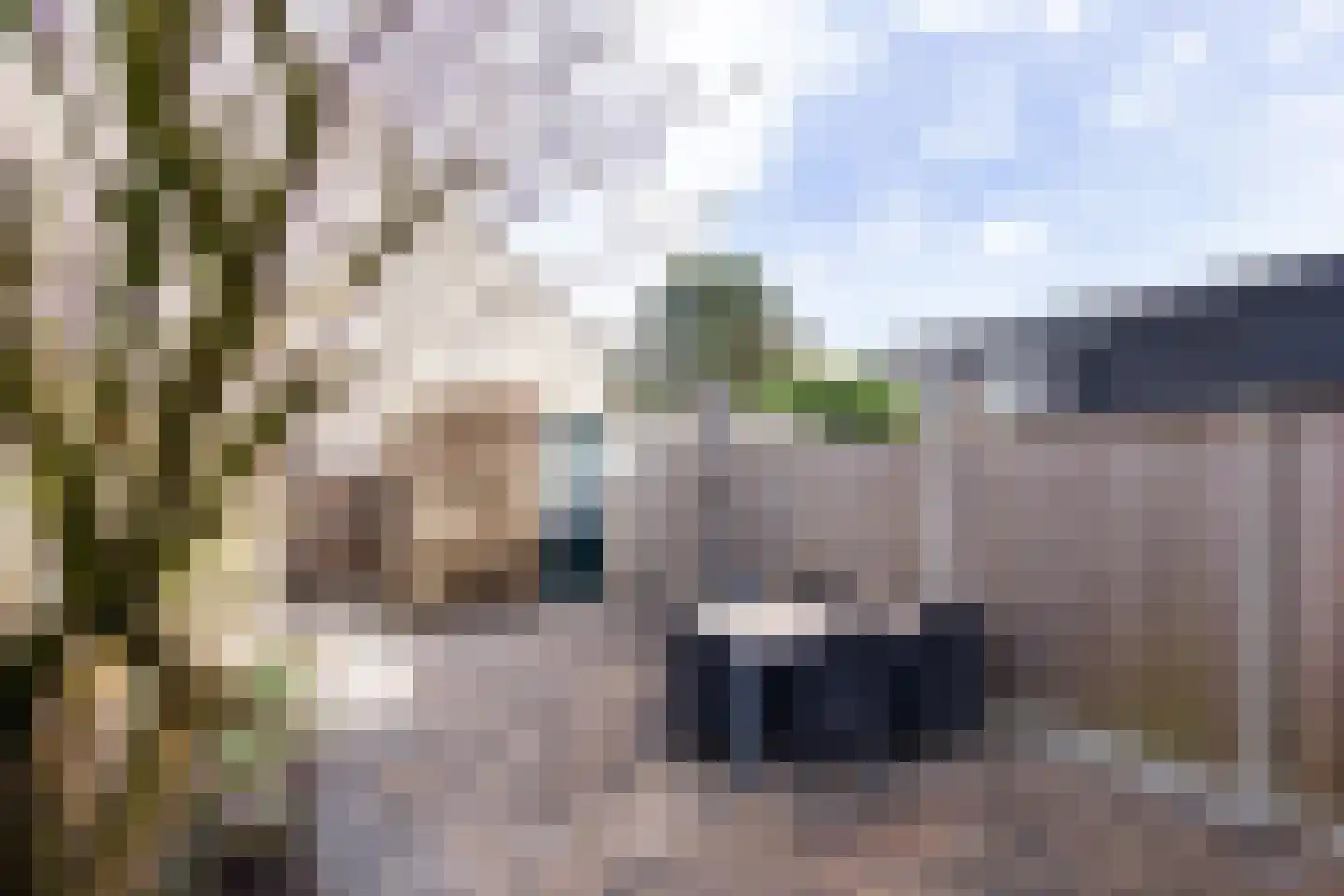 Sowetostraat 13 Haarlem thumbnail 22