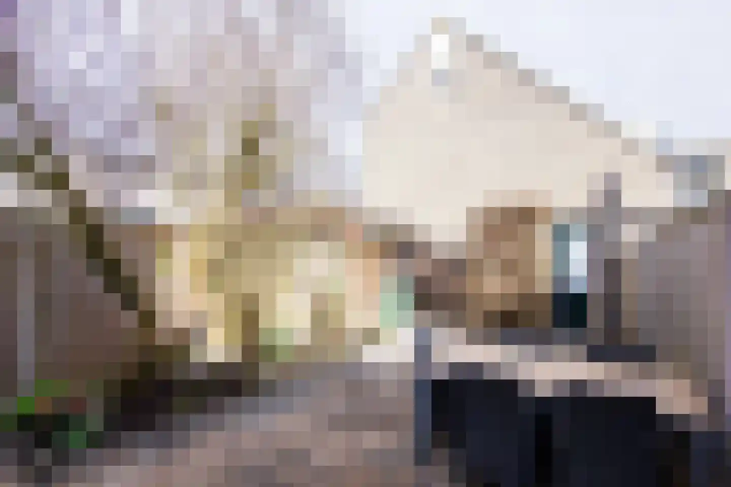 Sowetostraat 13 Haarlem thumbnail 24
