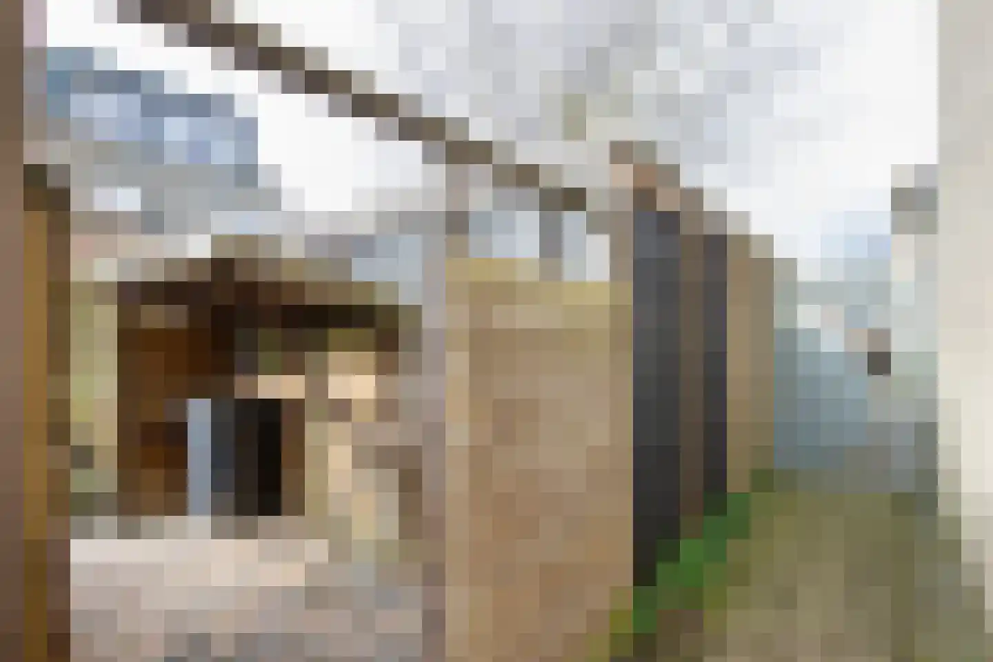 Sowetostraat 13 Haarlem thumbnail 25