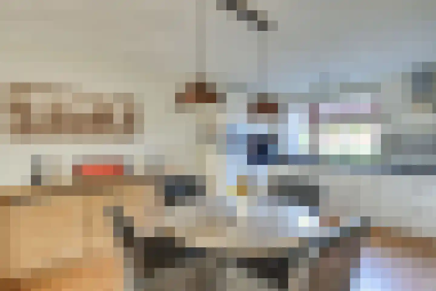 Spaaihoefweg 12 Eindhoven thumbnail 16