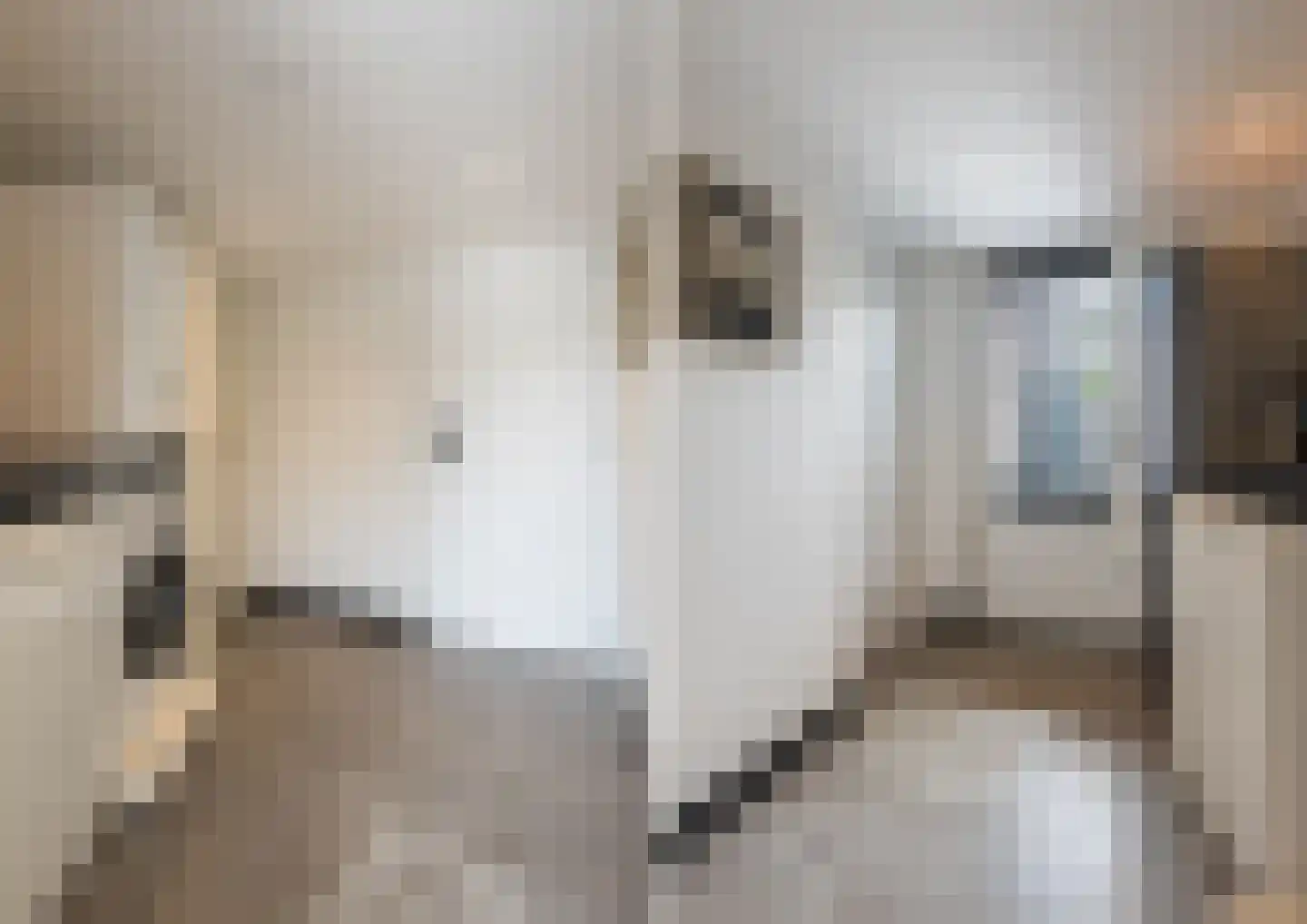 Spaaihoefweg 4 Eindhoven thumbnail 25