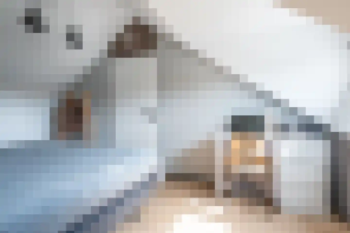 Spaaihoefweg 4 Eindhoven thumbnail 58