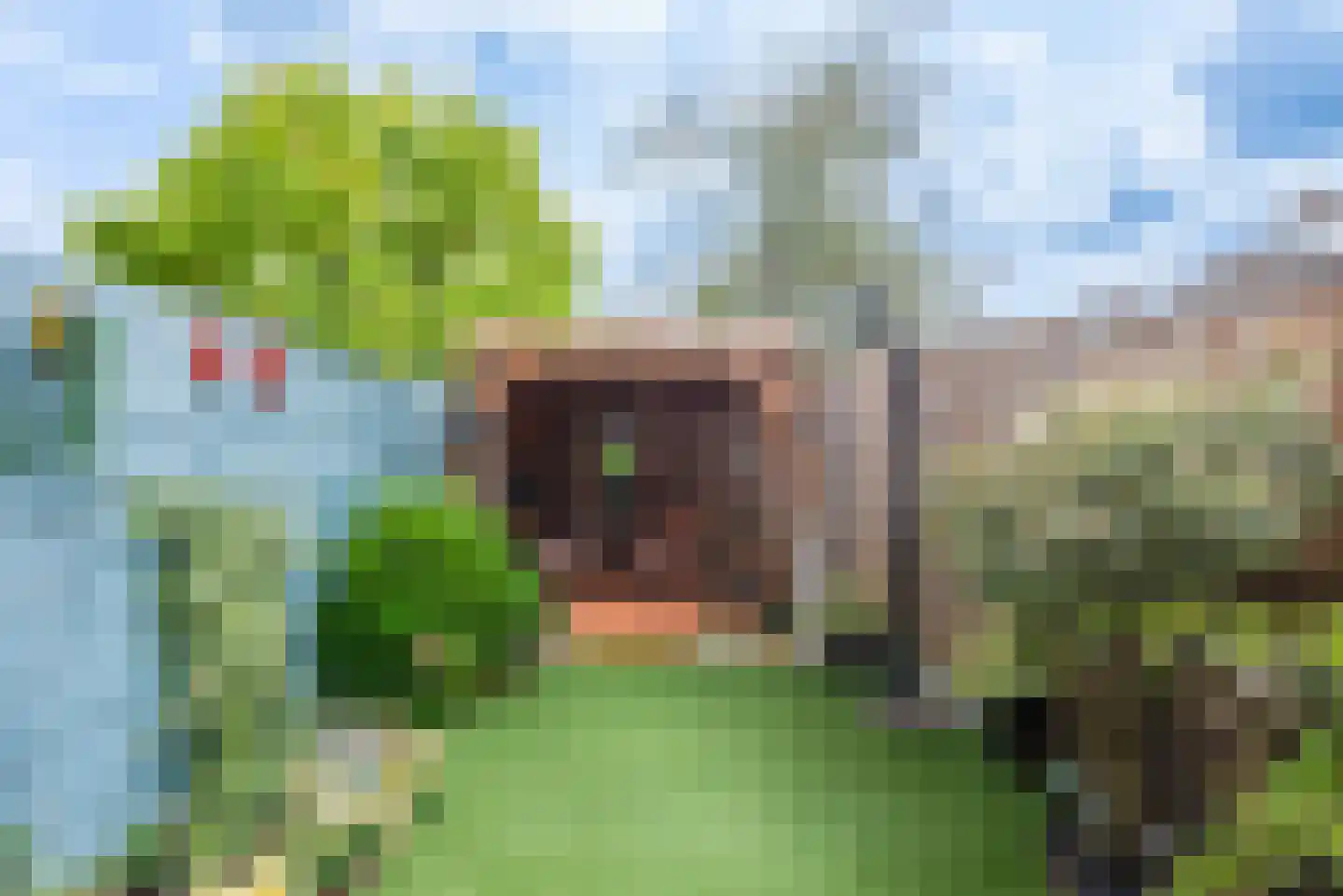 Spaaihoefweg 4 Eindhoven thumbnail 66