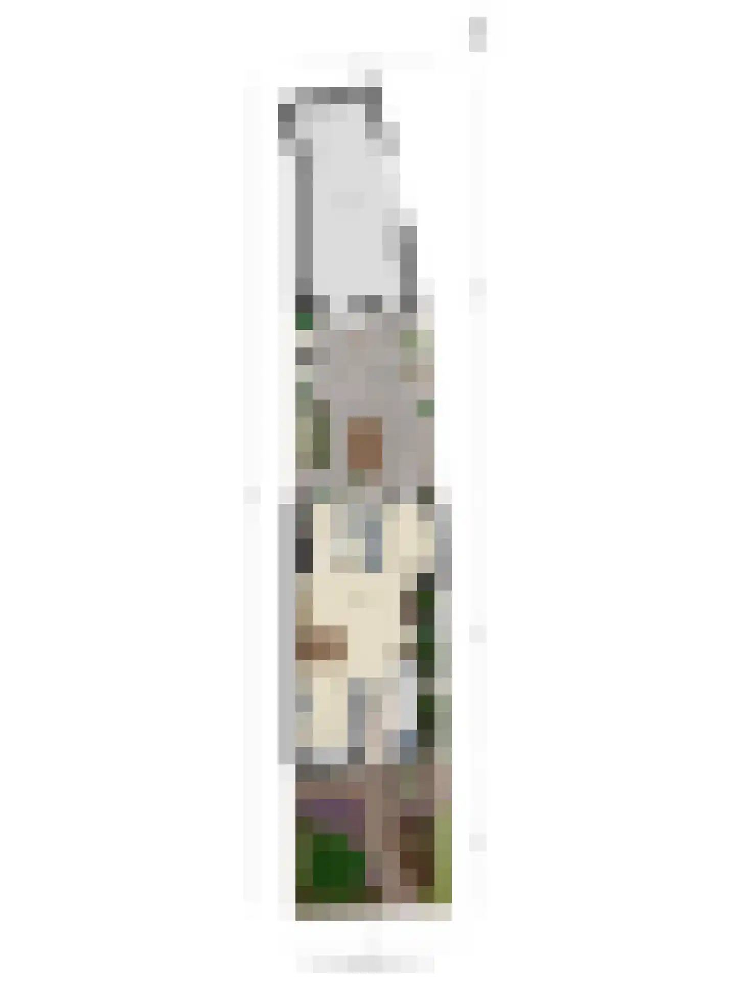 Spaaihoefweg 42 Eindhoven thumbnail 32
