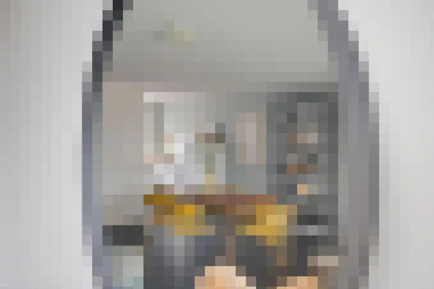 Spaaihoefweg 44 Eindhoven thumbnail 12