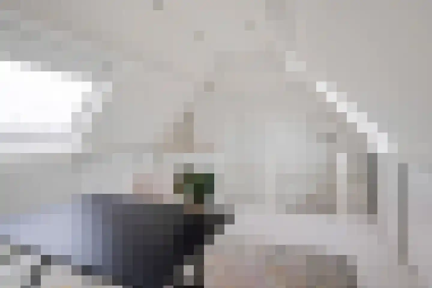 Spaaihoefweg 44 Eindhoven thumbnail 28