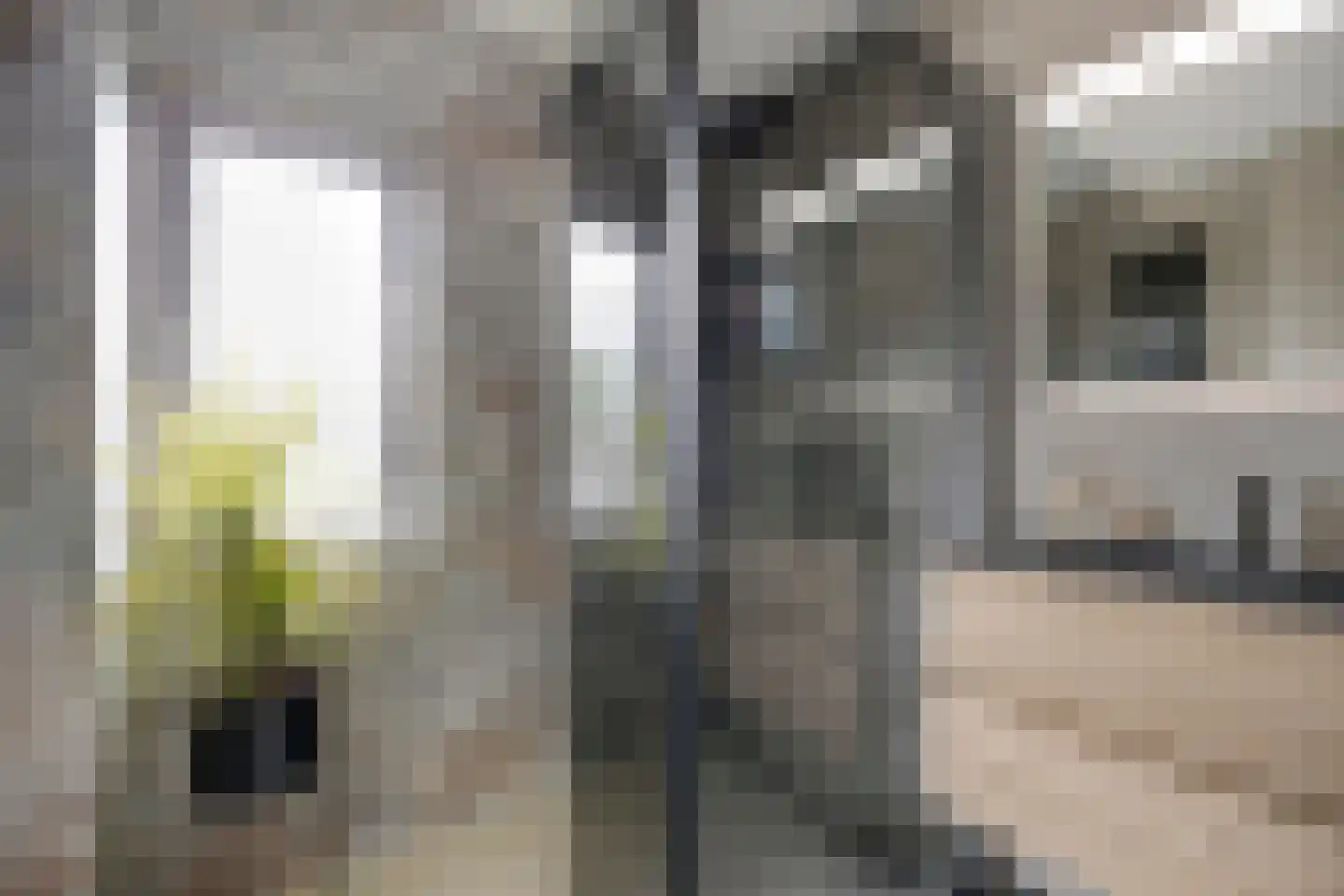 Spaaihoefweg 64 Eindhoven thumbnail 24