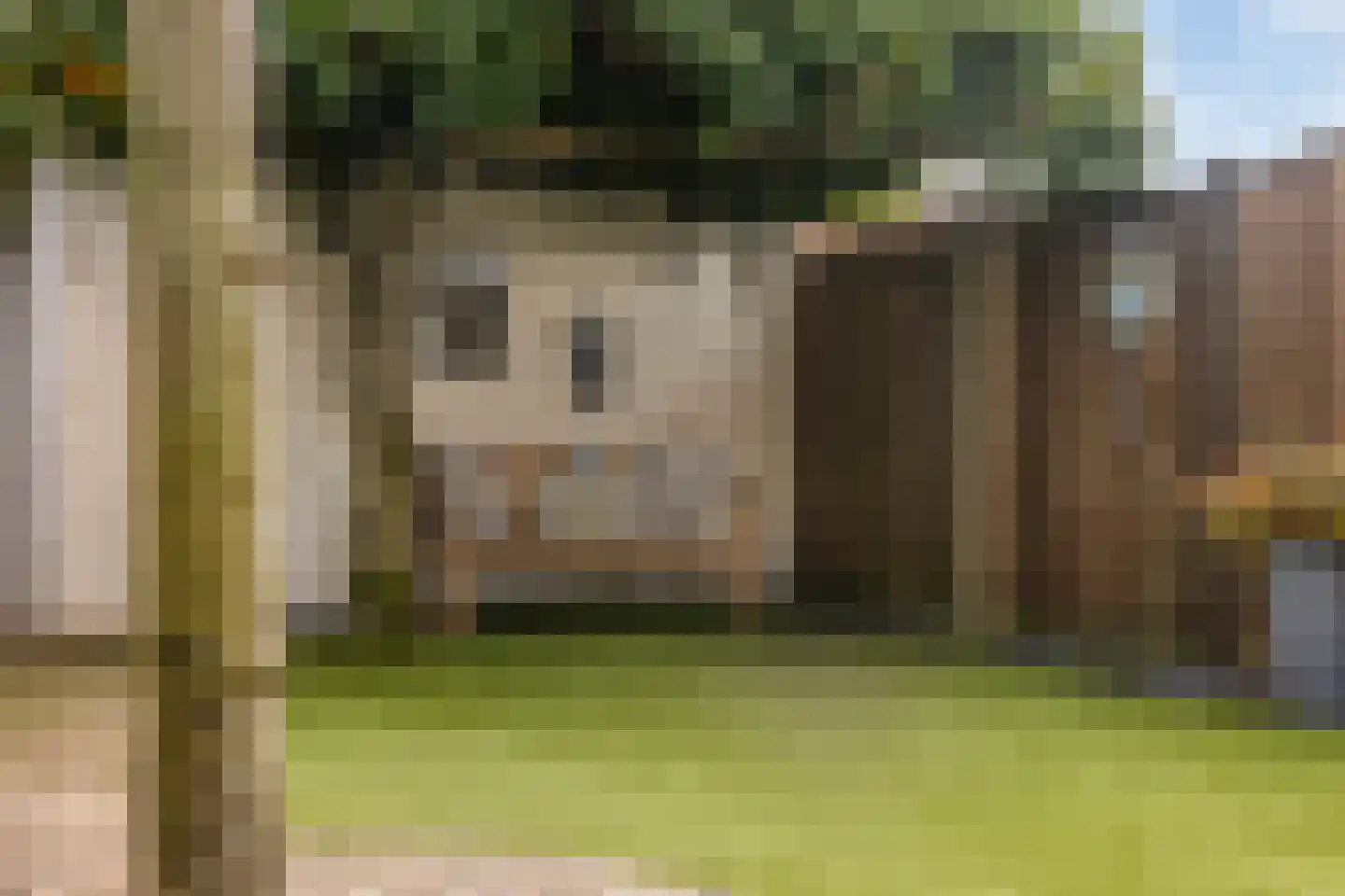 Spaaihoefweg 64 Eindhoven thumbnail 32
