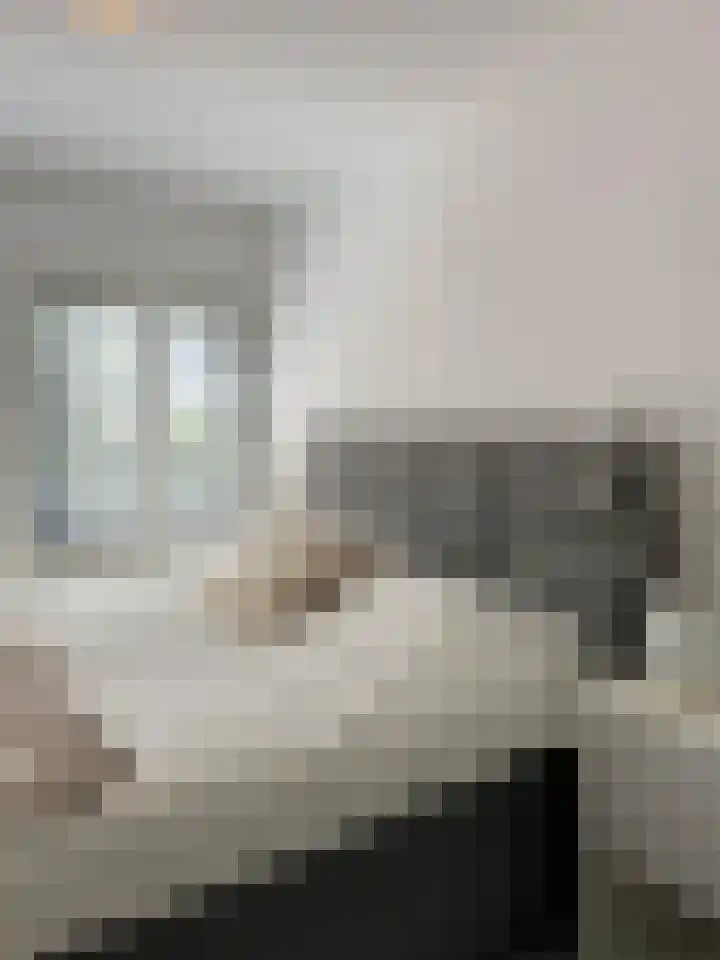 Spaak-Nes 1 Bergen (NH) thumbnail 13