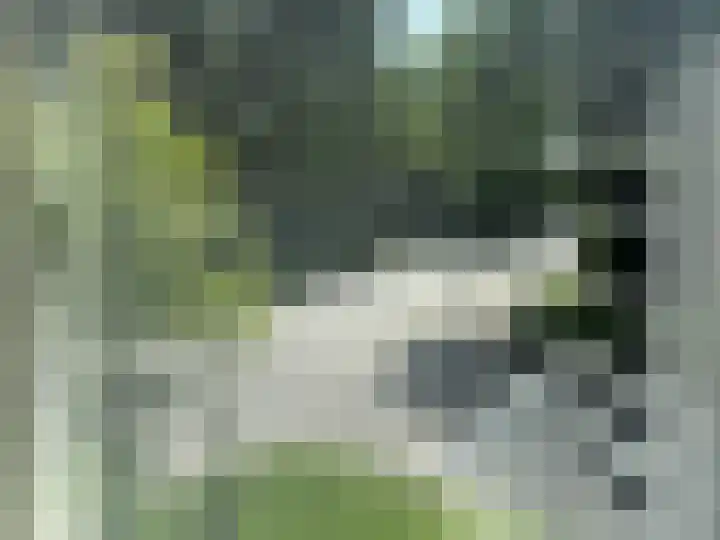 Spaak-Nes 1 Bergen (NH) thumbnail 5