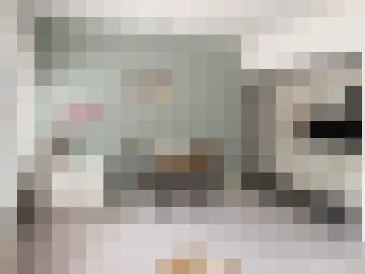 Spaak-Nes 1 Bergen (NH) thumbnail 7