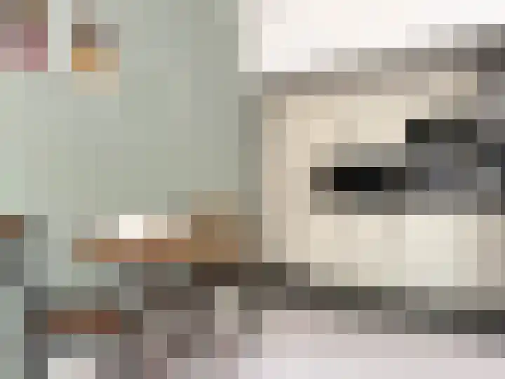 Spaak-Nes 1 Bergen (NH) thumbnail 8
