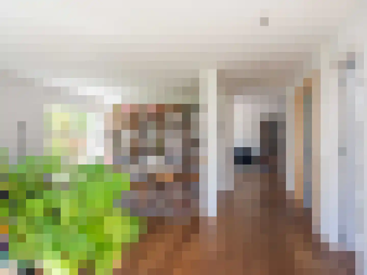 Spaak-Nes 19 Bergen (NH) thumbnail 10