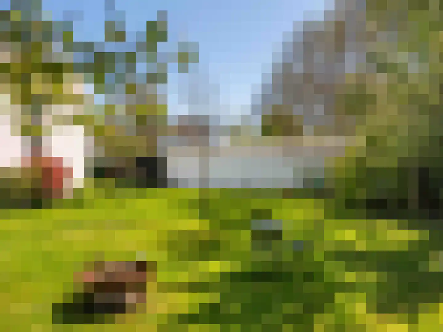 Spaak-Nes 19 Bergen (NH) thumbnail 37