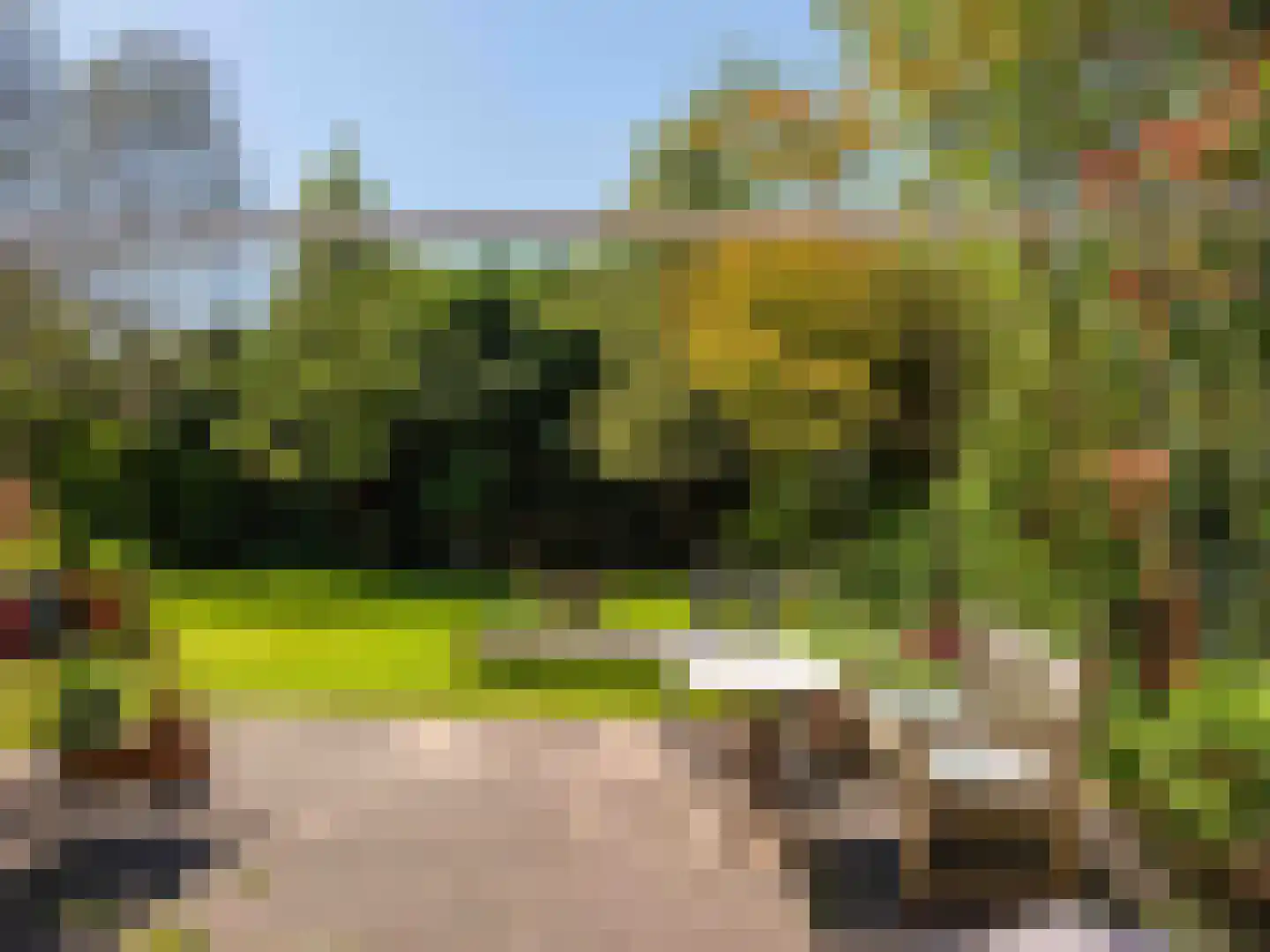 Spaak-Nes 19 Bergen (NH) thumbnail 42