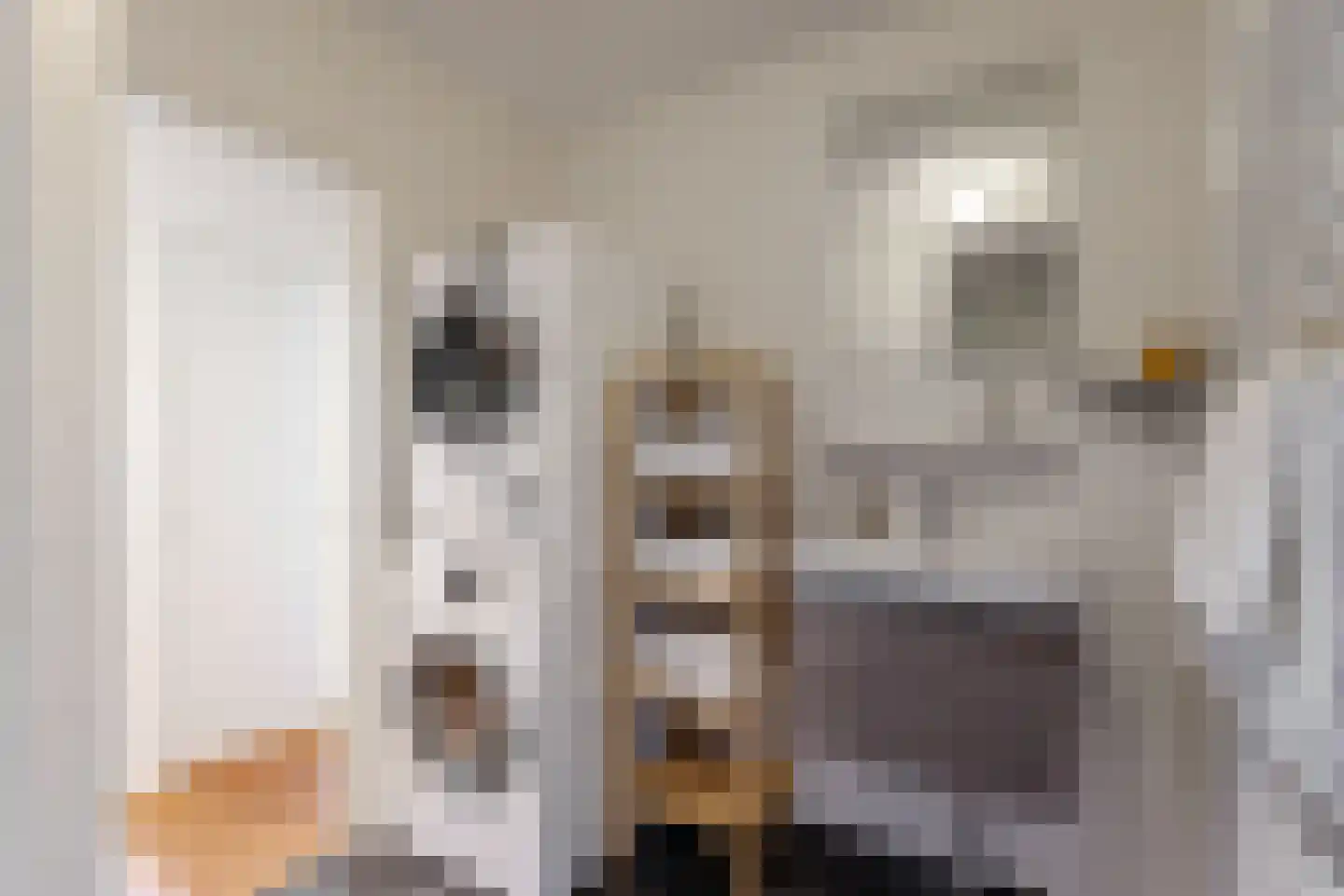 Spaaklaan 109 Utrecht thumbnail 17