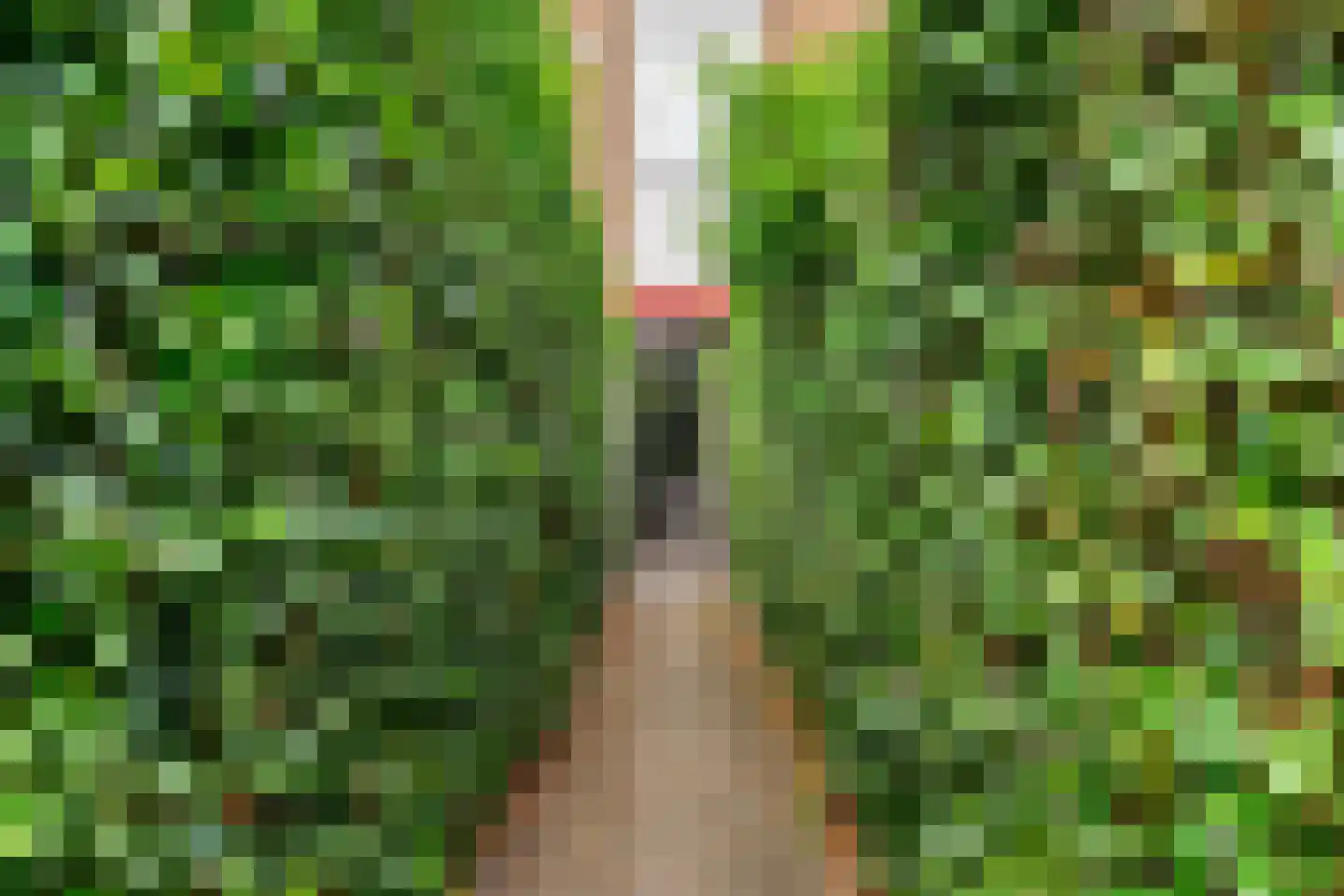 Spaaklaan 109 Utrecht thumbnail 23