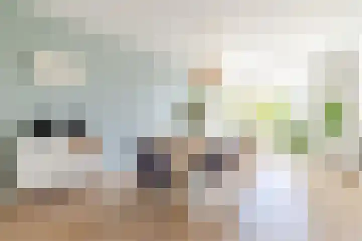 Spaaklaan 127 Utrecht thumbnail 4