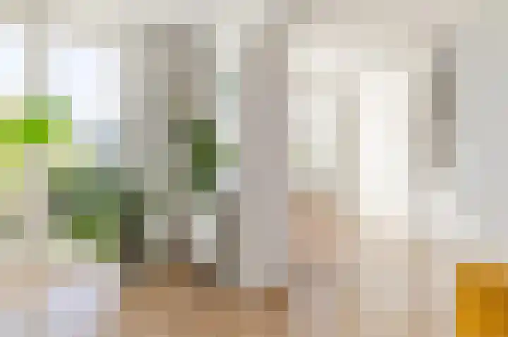 Spaaklaan 127 Utrecht thumbnail 6