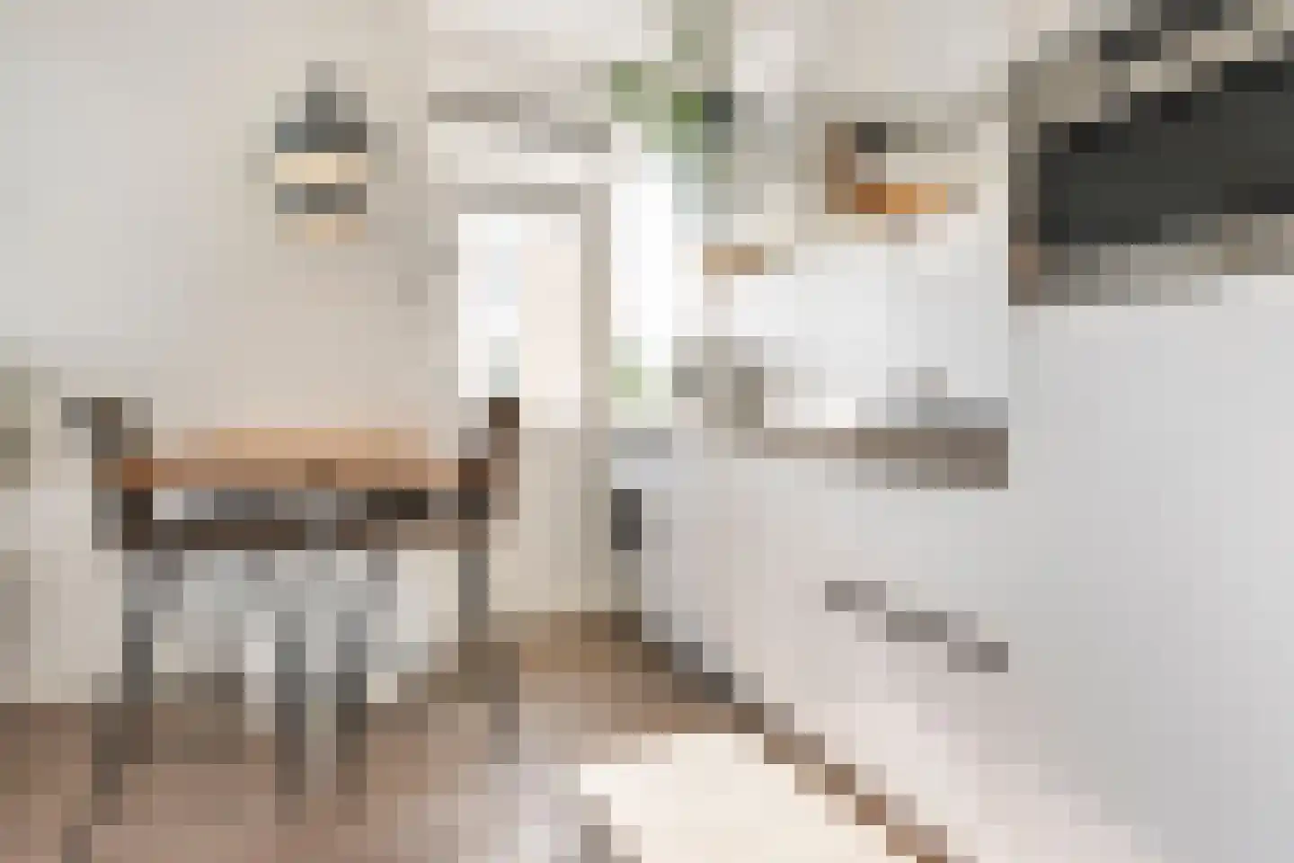 Spaaklaan 141 Utrecht thumbnail 14