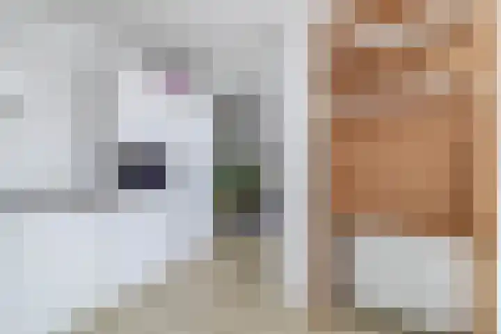 Spaaklaan 17 Utrecht thumbnail 18