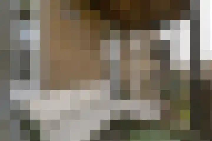 Spaaklaan 17 Utrecht thumbnail 19