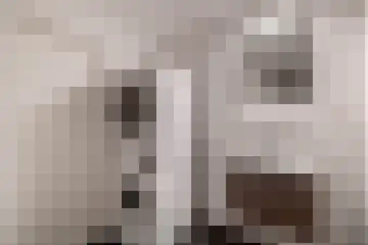 Spaaklaan 17 Utrecht thumbnail 27