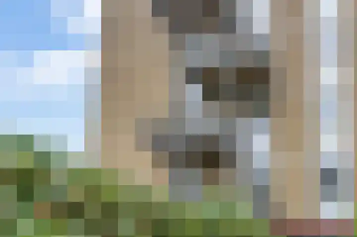 Spaaklaan 17 Utrecht thumbnail 36