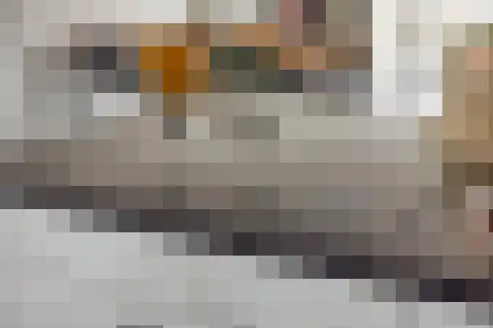 Spaaklaan 22 Vlijmen thumbnail 14