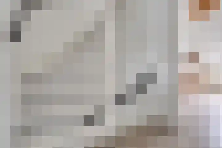 Spaaklaan 22 Vlijmen thumbnail 16