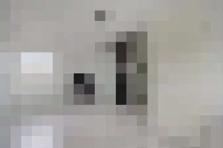 Spaaklaan 22 Vlijmen thumbnail 24