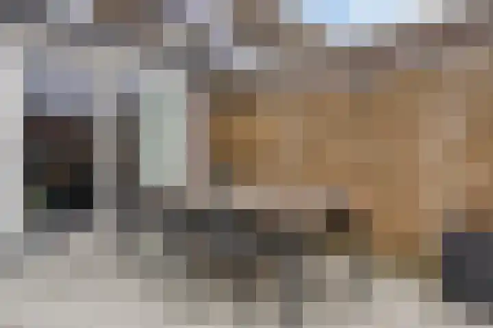 Spaaklaan 22 Vlijmen thumbnail 26