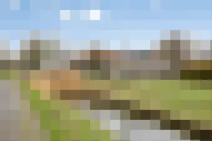 Spaaklaan 22 Vlijmen thumbnail 32