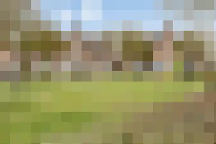 Spaaklaan 22 Vlijmen thumbnail 33