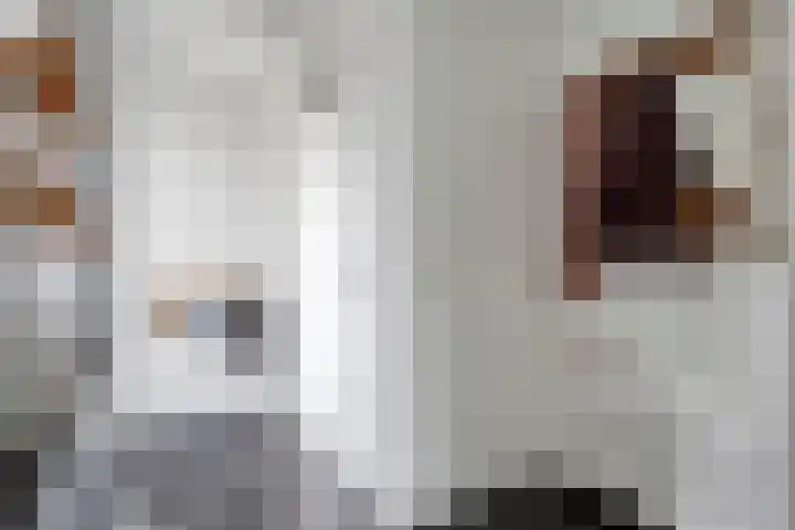 Spaaklaan 22 Vlijmen thumbnail 5