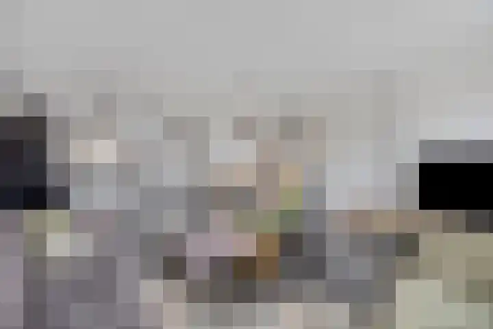 Spaaklaan 22 Vlijmen thumbnail 8