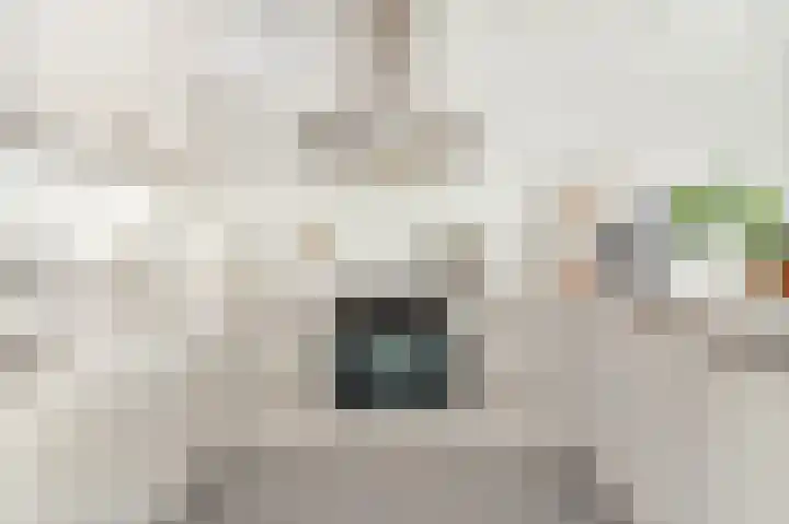 Spaaklaan 267 Utrecht thumbnail 13