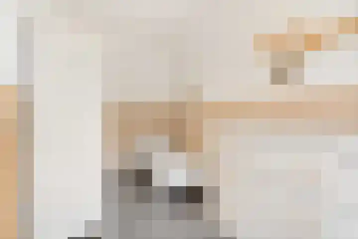 Spaaklaan 267 Utrecht thumbnail 20