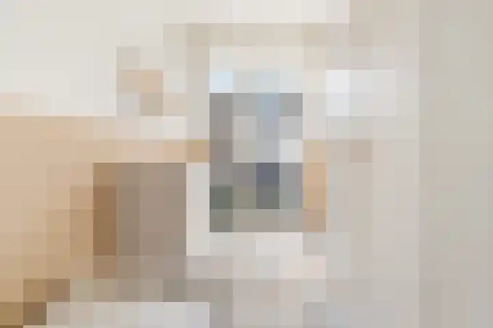 Spaaklaan 267 Utrecht thumbnail 21