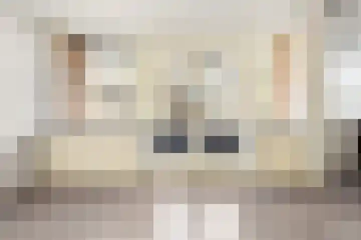 Spaaklaan 267 Utrecht thumbnail 32