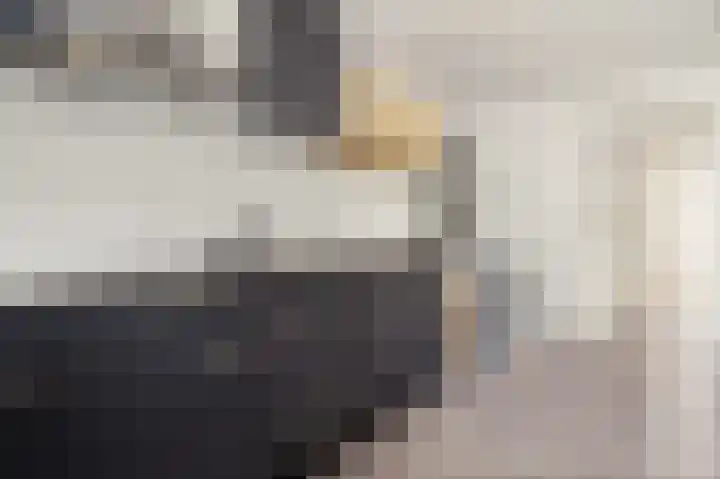 Spaaklaan 267 Utrecht thumbnail 33
