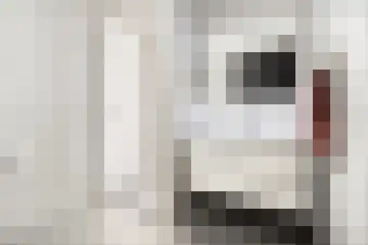 Spaaklaan 267 Utrecht thumbnail 38