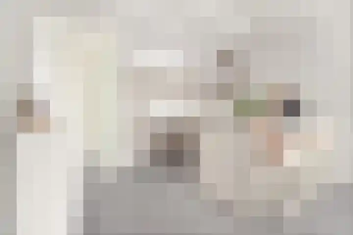 Spaaklaan 267 Utrecht thumbnail 7