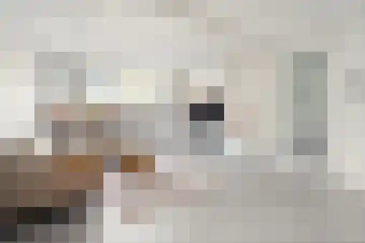 Spaaklaan 267 Utrecht thumbnail 8