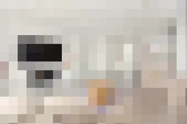 Spaaklaan 267 Utrecht thumbnail 9