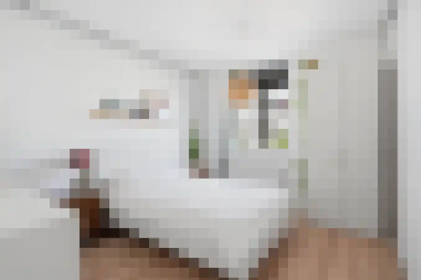 Spaaklaan 31 Utrecht thumbnail 21